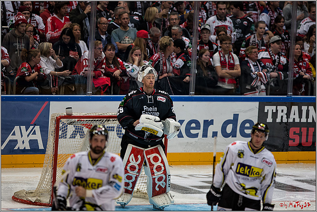 Koelner Haie - Krefeld Pinguine , 23.09.16(KW38)
